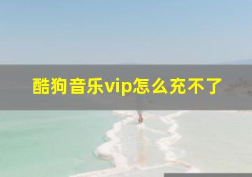 酷狗音乐vip怎么充不了