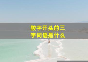 酸字开头的三字词语是什么