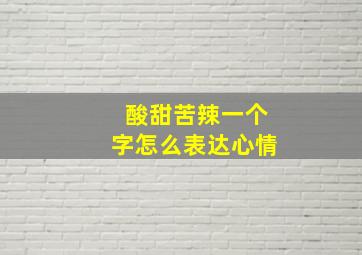 酸甜苦辣一个字怎么表达心情