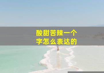 酸甜苦辣一个字怎么表达的