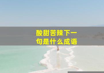 酸甜苦辣下一句是什么成语