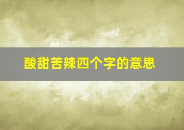 酸甜苦辣四个字的意思