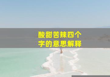 酸甜苦辣四个字的意思解释