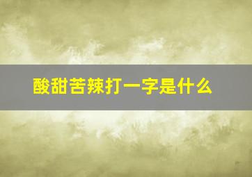 酸甜苦辣打一字是什么