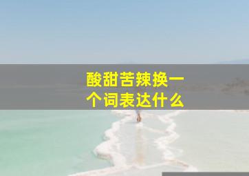 酸甜苦辣换一个词表达什么