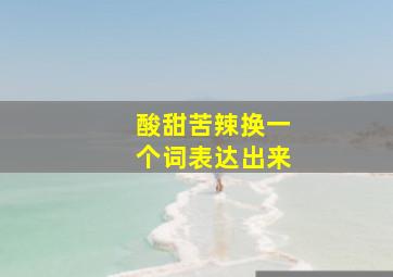 酸甜苦辣换一个词表达出来