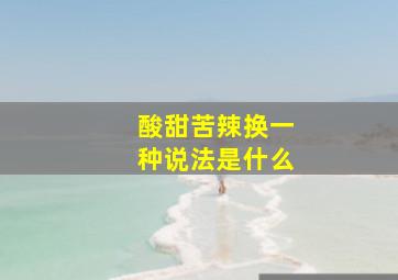 酸甜苦辣换一种说法是什么