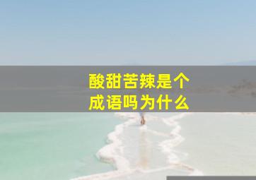 酸甜苦辣是个成语吗为什么