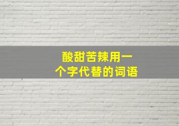 酸甜苦辣用一个字代替的词语