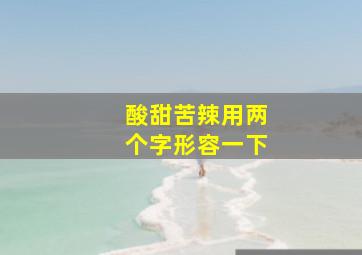 酸甜苦辣用两个字形容一下