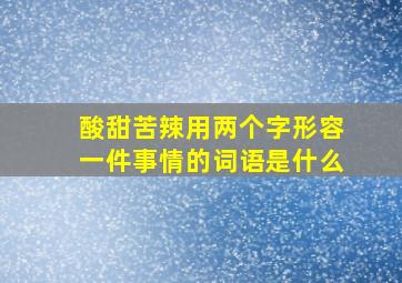 酸甜苦辣用两个字形容一件事情的词语是什么