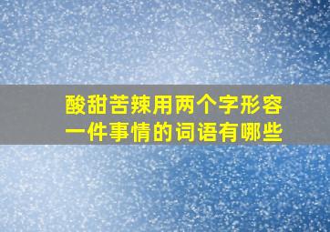 酸甜苦辣用两个字形容一件事情的词语有哪些