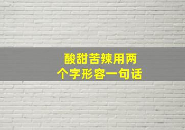 酸甜苦辣用两个字形容一句话