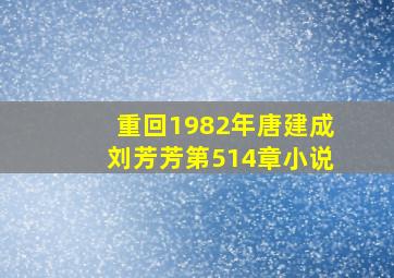 重回1982年唐建成刘芳芳第514章小说