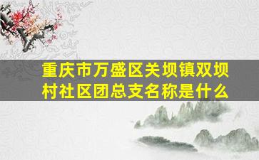 重庆市万盛区关坝镇双坝村社区团总支名称是什么