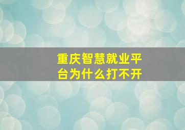 重庆智慧就业平台为什么打不开