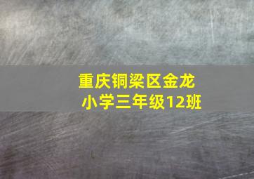 重庆铜梁区金龙小学三年级12班