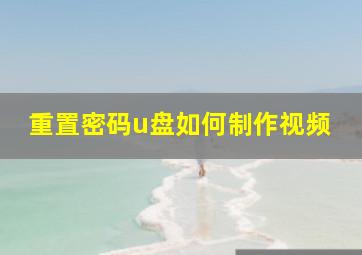 重置密码u盘如何制作视频