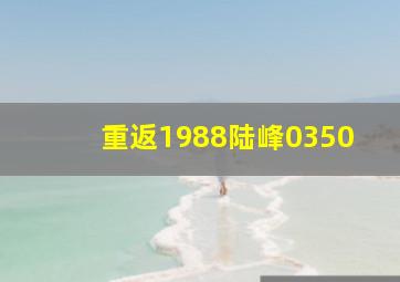 重返1988陆峰0350