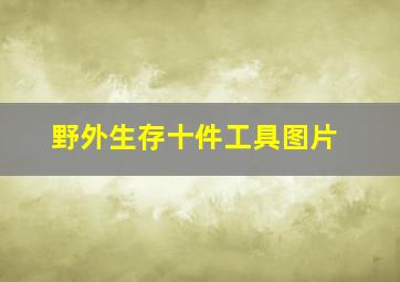 野外生存十件工具图片