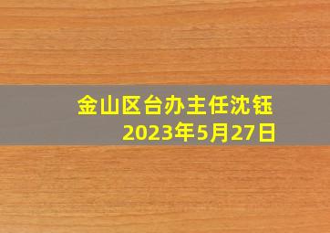 金山区台办主任沈钰2023年5月27日