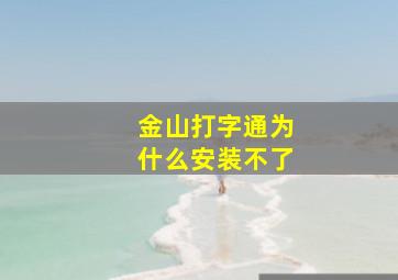 金山打字通为什么安装不了