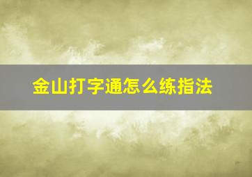 金山打字通怎么练指法