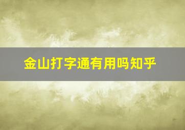 金山打字通有用吗知乎