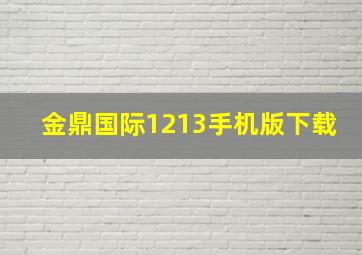 金鼎国际1213手机版下载