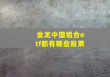 金龙中国组合etf都有哪些股票