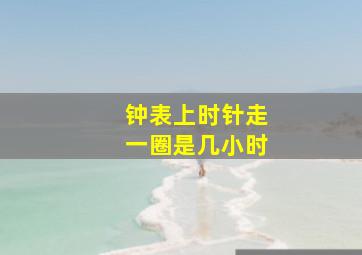 钟表上时针走一圈是几小时