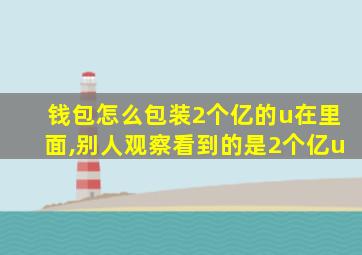 钱包怎么包装2个亿的u在里面,别人观察看到的是2个亿u