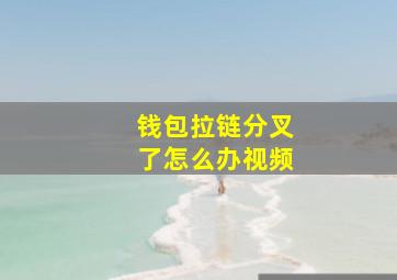 钱包拉链分叉了怎么办视频