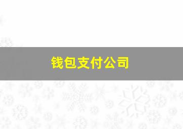 钱包支付公司