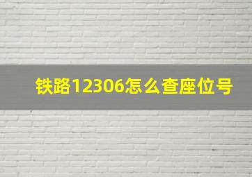 铁路12306怎么查座位号