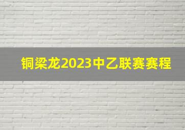 铜梁龙2023中乙联赛赛程