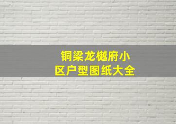 铜梁龙樾府小区户型图纸大全