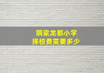 铜梁龙都小学择校费需要多少