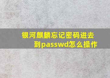 银河麒麟忘记密码进去到passwd怎么操作