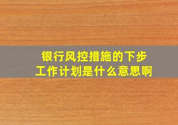 银行风控措施的下步工作计划是什么意思啊