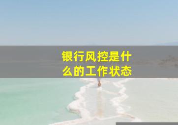 银行风控是什么的工作状态