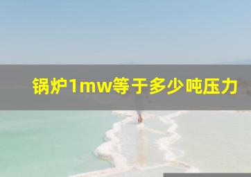 锅炉1mw等于多少吨压力