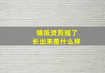 锡纸烫剪短了长出来是什么样