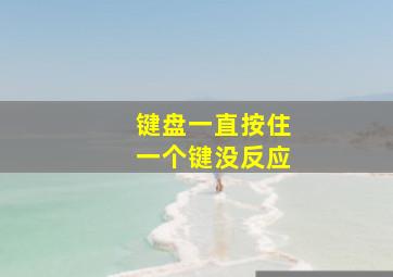 键盘一直按住一个键没反应