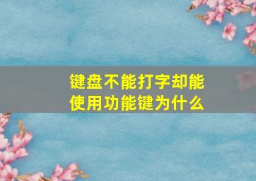 键盘不能打字却能使用功能键为什么