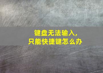 键盘无法输入,只能快捷键怎么办