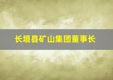 长垣县矿山集团董事长