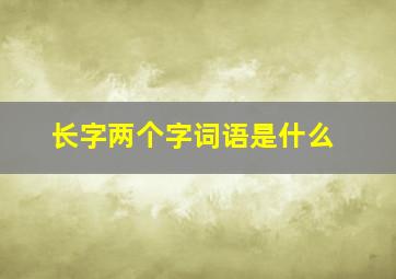 长字两个字词语是什么