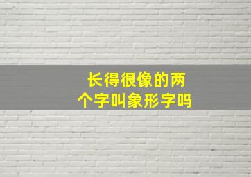 长得很像的两个字叫象形字吗