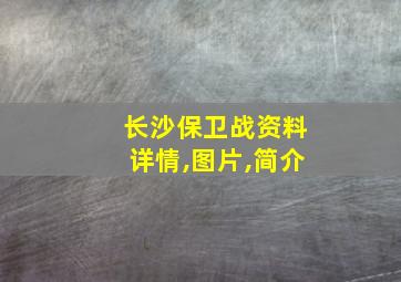 长沙保卫战资料详情,图片,简介